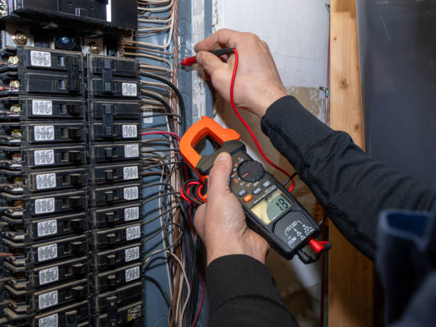 Best Electrical System Inspection  in Portland, TN